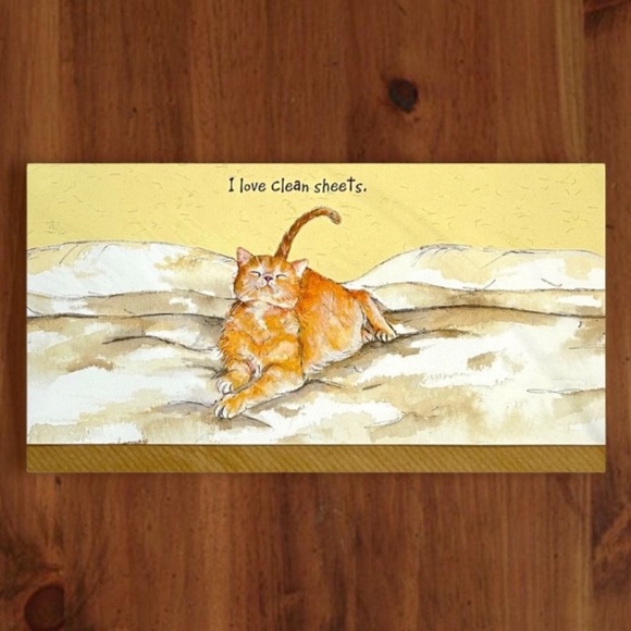 Clean Sheets Cat Greeting Card - Picture 6 of 8
